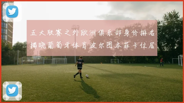 五大联赛之外欧洲俱乐部身价排名揭晓葡萄牙体育波尔图本菲卡位居前三