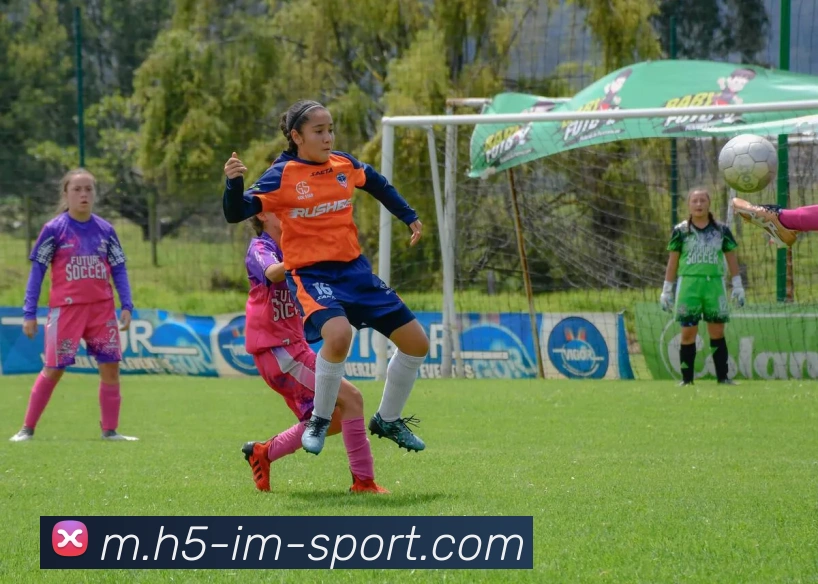 IM体育发展历程